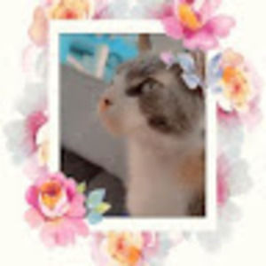 Meet your Posher, Angelica